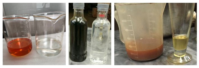 oil sample treated by TYR